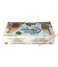 Booster de 15 cartes WAKFU - DOFUS série BONTA et BRAKMAR